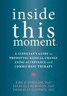 Image of inside this moment a clinicians guide to promoting radical change using acc