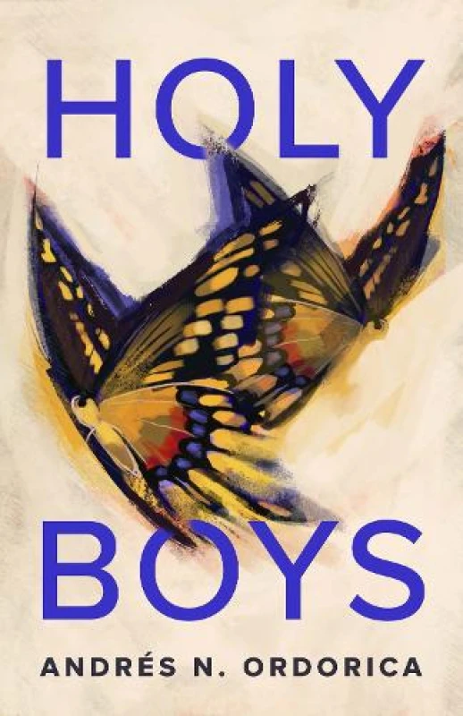 Image of Holy Boys Paperback / softback