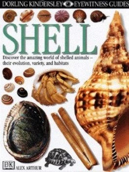 Image of Shell by Alex Arthur Hardback