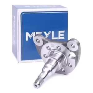 image of MEYLE Steering Knuckle 100 501 0011 Stub Axle, wheel suspension VW,SEAT,GOLF III (1H1),GOLF II (19E, 1G1),PASSAT Variant (3A5, 35I)