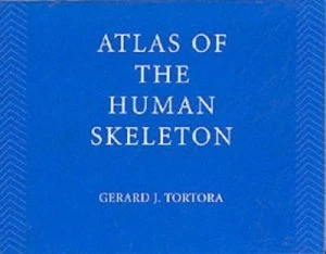 Image of Atlas of the Human Skeleton by Gj Tortora Paperback