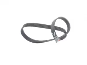 Image of GATES Poly V-Belt RENAULT,FORD,LANCIA 5PK885 46770220,71739618,7732138 Ribbed Belt,V Ribbed Belt,Multi V Belt,Poly Belt,V-Ribbed Belts 7765719,1017591