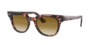 Ray-Ban Sunglasses RB2168 Meteor 133451