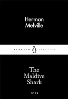 Image of The Maldive Shark