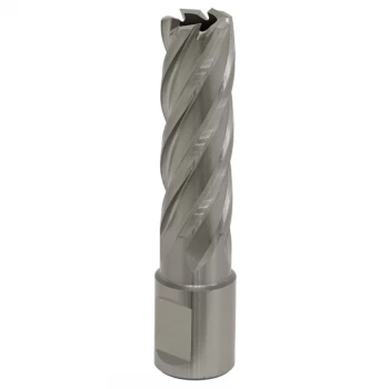 Image of Rotabor Cutter HSS 17MM - Cut Depth 50MM