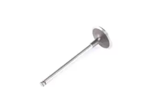 Image of FRECCIA Inlet Valves R4230/S Intake Valves,Inlet Valve PEUGEOT,CITROEN,206 Schragheck (2A/C),207 (WA_, WC_),207 SW (WK_),206+ Schragheck (2L_, 2M_)