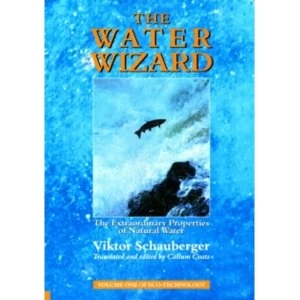 Image of The Water Wizard : The Extraordinary Properties of Natural Water