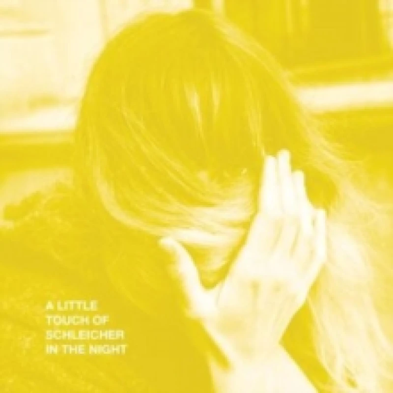 Image of A little touch of Schleicher in the night Vinyl