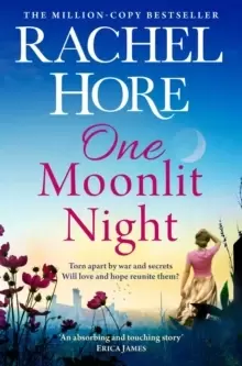 Image of One Moonlit Night : The unmissable new novel from the million-copy Sunday Times bestselling author of A Beautiful Spy