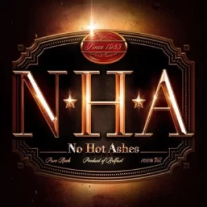 image of No Hot Ashes by No Hot Ashes Vinyl Album