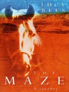 Image of The Maze by Lucy Rees Book