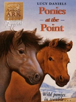 Image of Ponies at the Point by Lucy Daniels Paperback