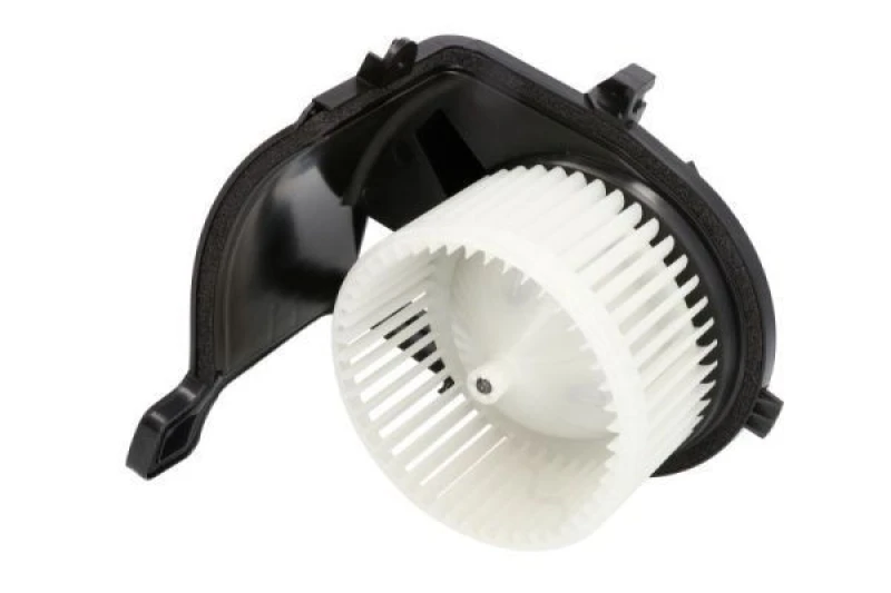 Image of THERMOTEC Blower motor THERMOTEC DDR017TT