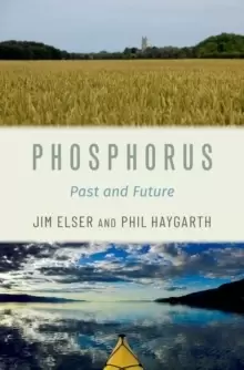 Image of Phosphorus : Past and Future