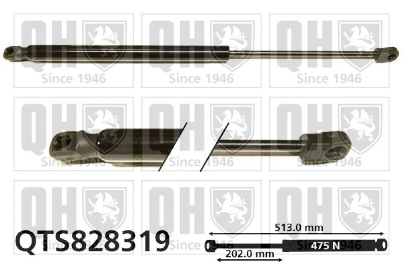 Image of QUINTON HAZELL Tailgate strut QUINTON HAZELL QTS828319