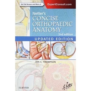Image of Netter's Concise Orthopaedic Anatomy, Updated Edition by Jon C. Thompson (Paperback, 2015)