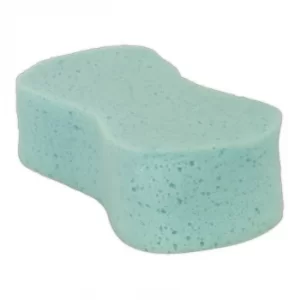 Image of Large Sponge