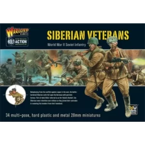 Image of Siberian Veterans