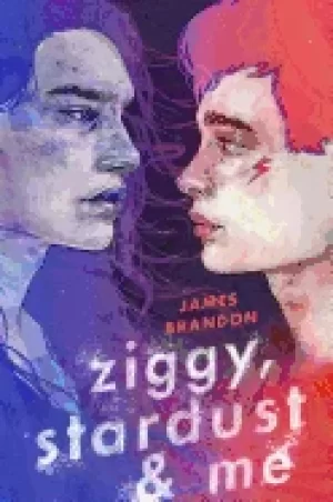 Image of ziggy stardust and me