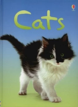 Image of Cats by Anna Milbourne and Patrizia Donaera and Christyan Fox and Claire Bessant and Alison Kelly Hardback
