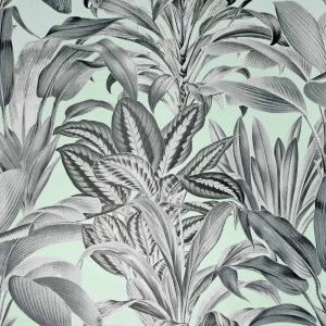 Image of Arthouse Greenhouse Plants Mint Wallpaper