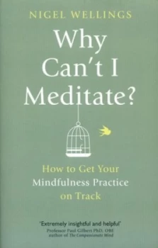 Image of Why Cant I Meditate by Nigel Wellings Paperback