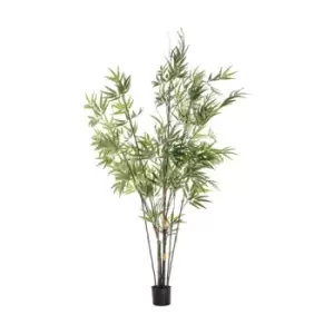 Image of Crossland Grove Bamboo W/859 Leaves 450X450X1520Mm