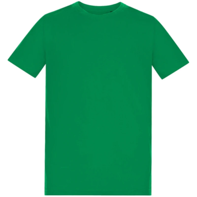 Image of Awdis AT001B boys's Children's T shirt in Green