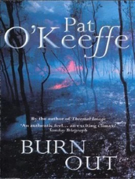 Image of Burn Out by Pat O Keeffe Paperback