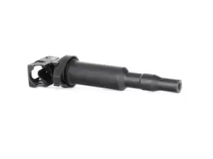 Image of BERU Ignition coil BMW,MINI,ALPINA ZS324 0495289,12130148594,12130390064 Coil pack,Ignition coil pack,Engine coil,Engine coil pack 12130495289,1712219
