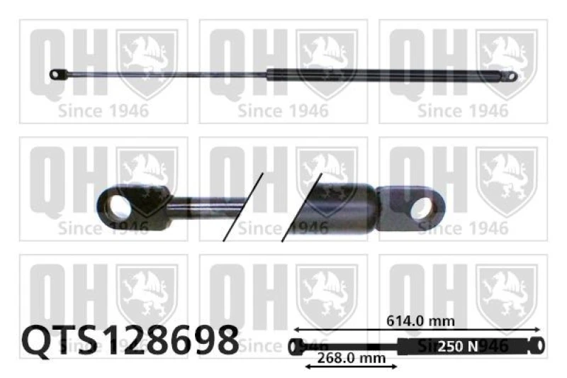 Image of QUINTON HAZELL Bonnet strut QUINTON HAZELL QTS128698
