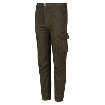 Image of Regatta Attala Cargo Walking Trouser - Grape Leaf