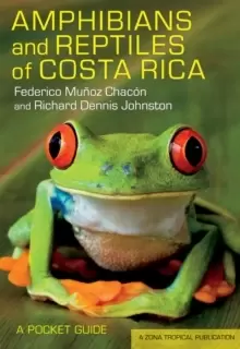 Image of Amphibians and Reptiles of Costa Rica : A Pocket Guide
