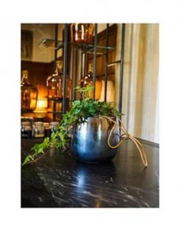 image of Ivyline Real Silver Ivy Plant In Hanging Pot