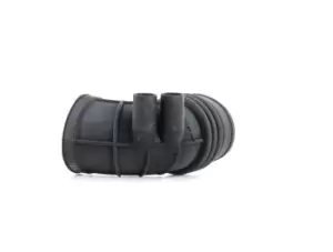 Image of RIDEX Intake Pipe, air filter 1591I0027 BMW,3 Limousine (E36)