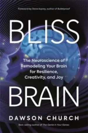 Image of Bliss brain by Dawson Church