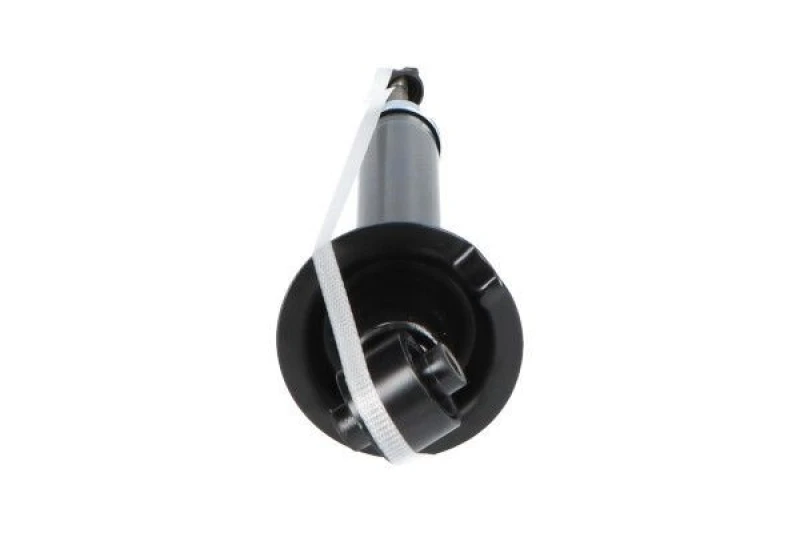 Image of KAVO PARTS SSA-9125 Shock absorber Rear Axle, Gas Pressure, Twin-Tube, Spring-bearing Damper, Top pin Shock Absorber (854)