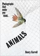 Image of animals photographs that make you think