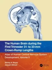 Image of The Human Brain during the First Trimester 31- to 33-mm Crown-Rump Lengths : Atlas of Human Central Nervous System Development, Volume 5