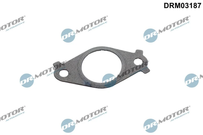 Image of DR.MOTOR AUTOMOTIVE Gasket, EGR valve pipe DR.MOTOR AUTOMOTIVE DRM03187