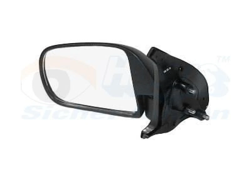 Image of VAN WEZEL Wing mirror VAN WEZEL 1105803