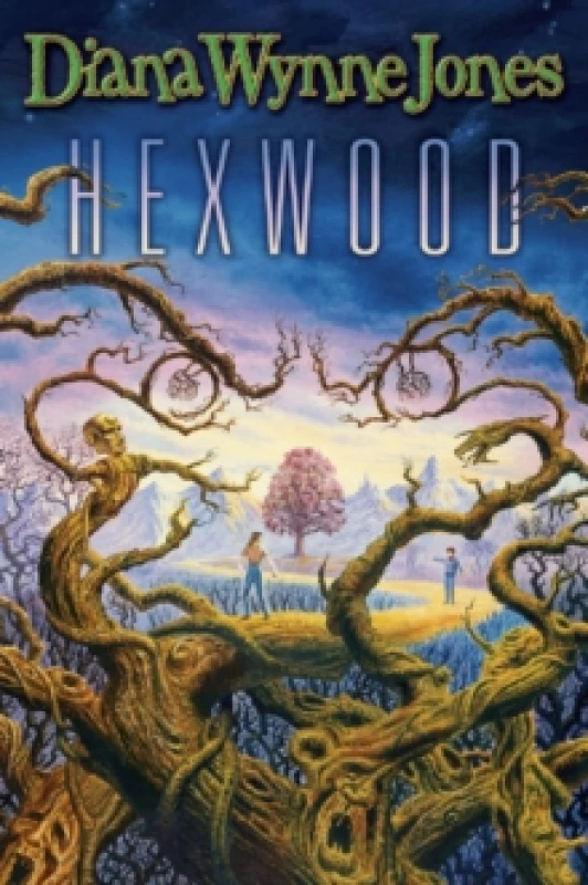 Image of Diana Wynne Jones Hexwood Book Multi unisex