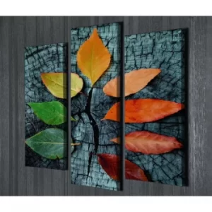 Image of UC67 Multicolor Decorative Canvas Painting (3 Pieces)