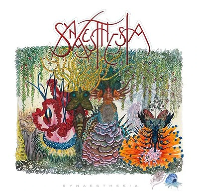 Image of Synaesthesia CD / Album