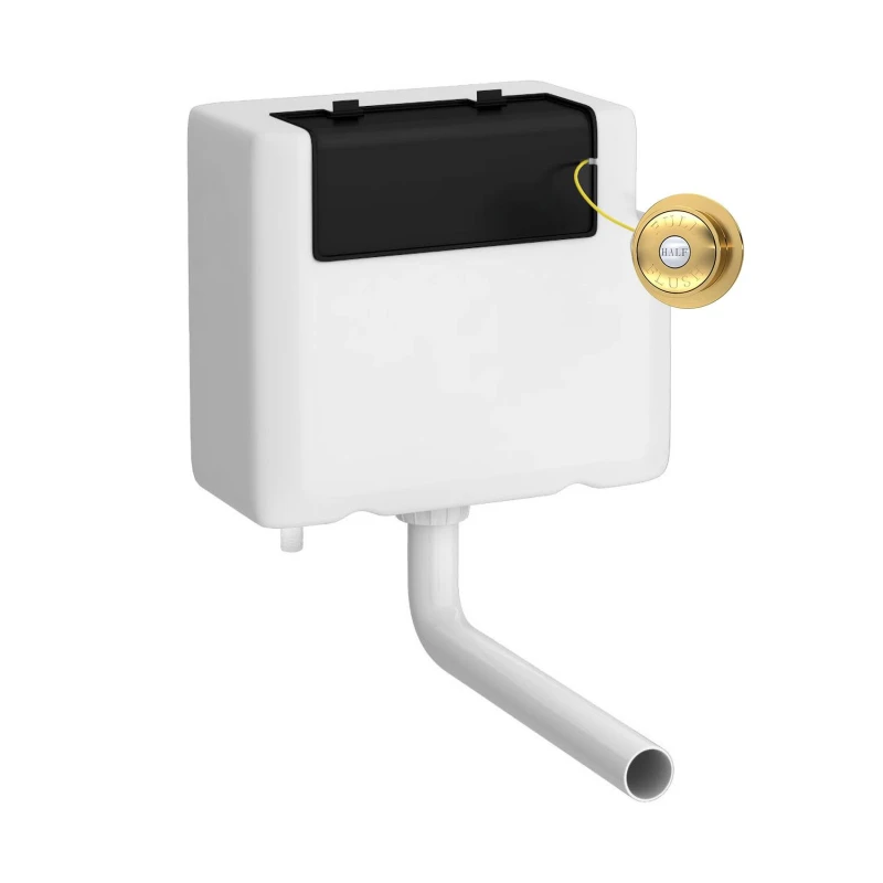 Image of Balterley Water Saving Dual Flush Bottom Inlet Push Button Brushed Brass Bronze