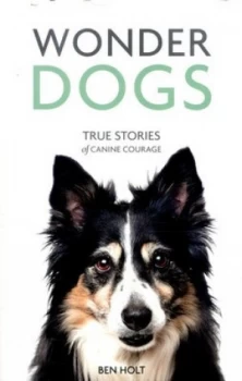 Image of Wonder Dogs by Ben Holt Book