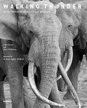 Image of walking thunder in the footsteps of the african elephant