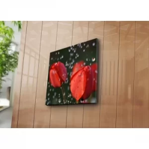 Image of 4545NAT-31 Multicolor Decorative Canvas Painting