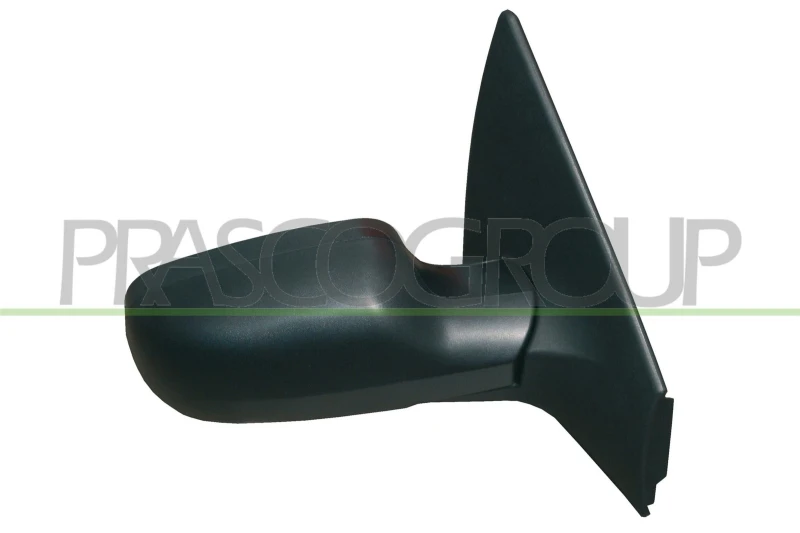 Image of PRASCO Wing mirror PRASCO RN4207313P