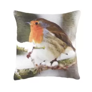 Image of Evans Lichfield Robin Cushion Cover (One Size) (Multicoloured)
